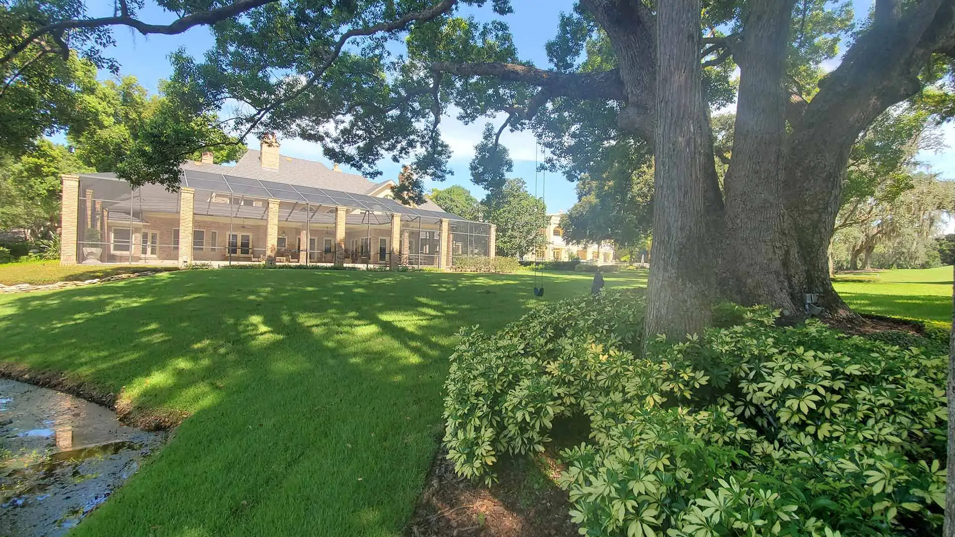 Landscaped front lawn with oak tree and tree swing in Riverview, FL.