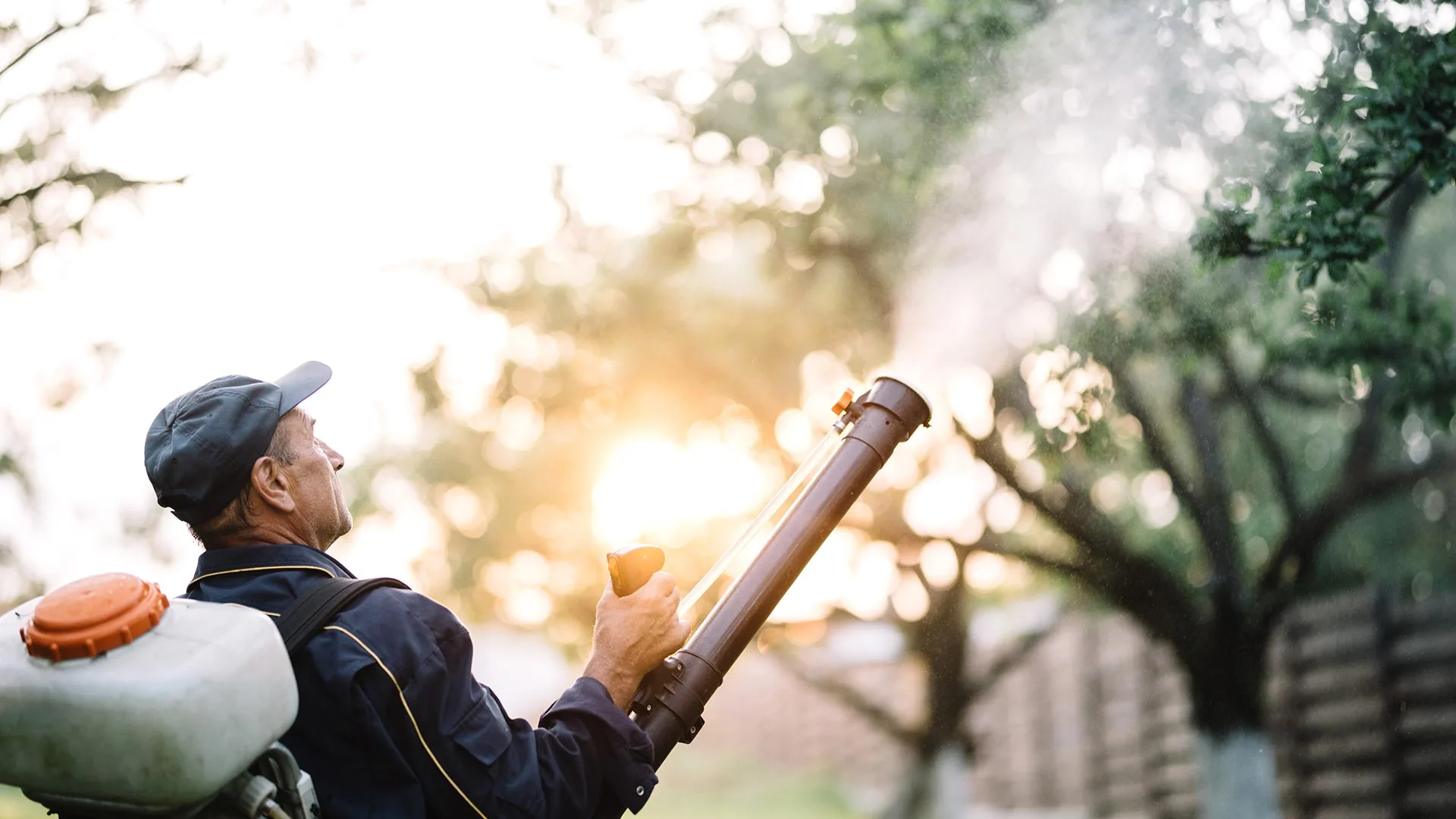 Pest control worker spraying lawn and trees in Riverview, FL.