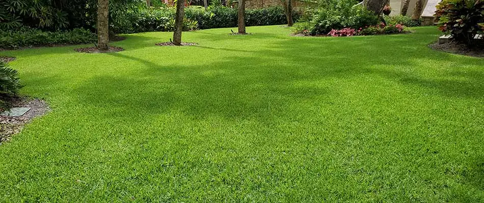 Well maintained home lawn and freshly cut grass at a property in Apollo Beach, FL.